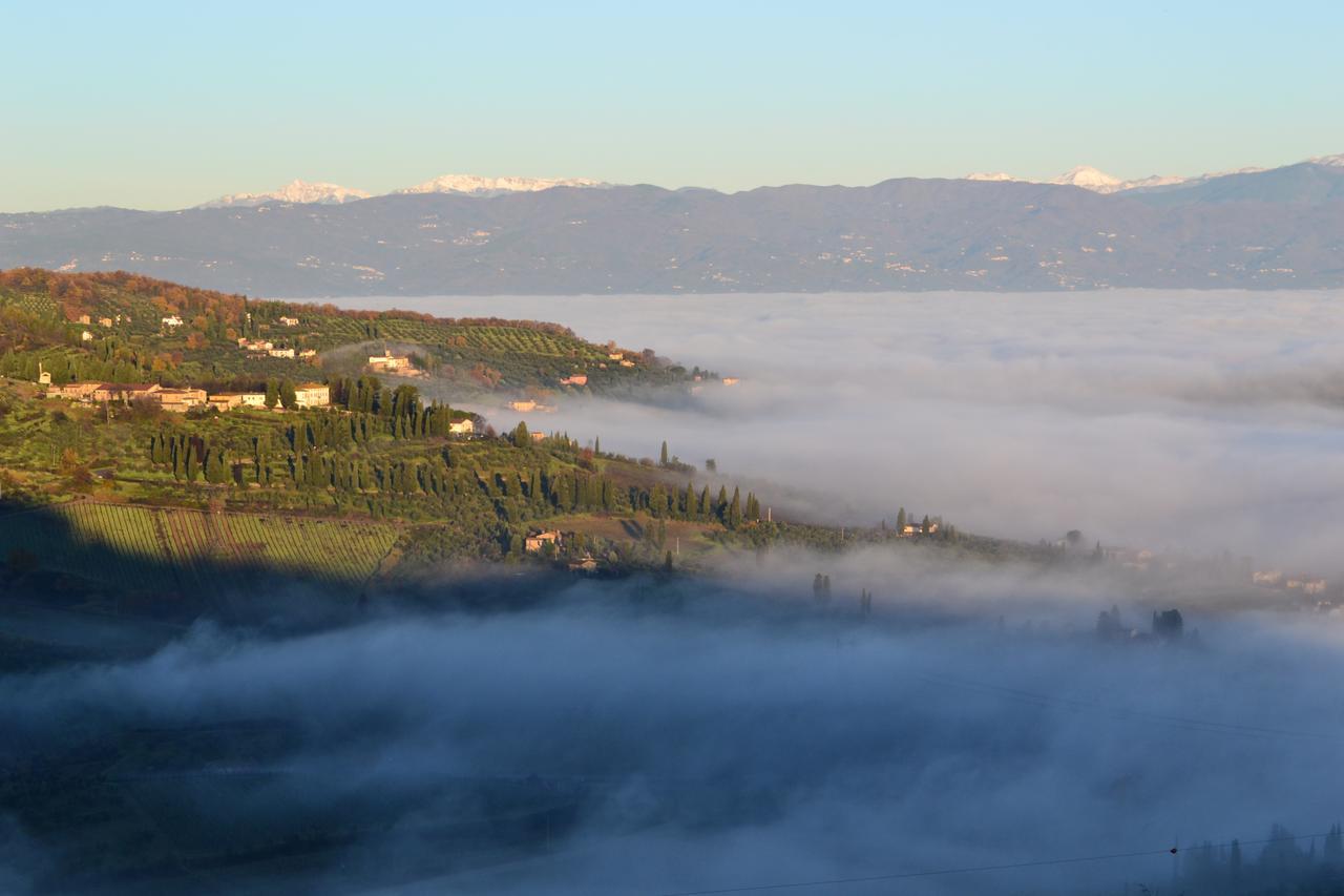 Tenuta Di Capezzana Bed & Breakfast Seano Exterior photo